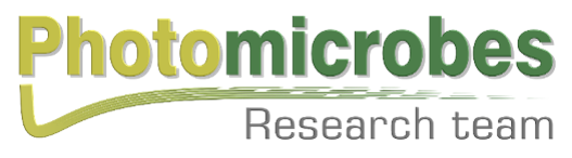 Photosynthetic Microbes