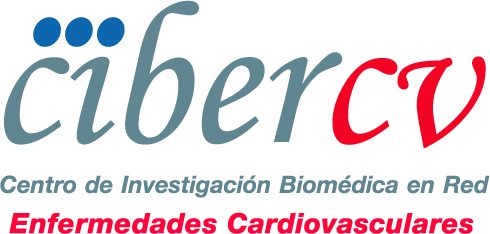 CIBER-CV